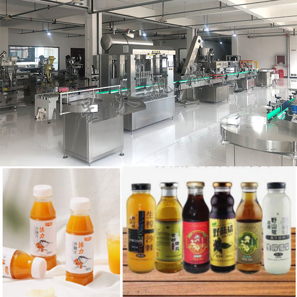 全自動(dòng)沙棘汁灌裝機(jī)