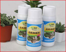 植物營(yíng)養(yǎng)液